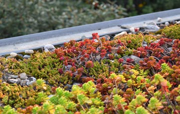 the cost of North Mundham green roof installation