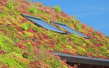 North Mundham living roof systems